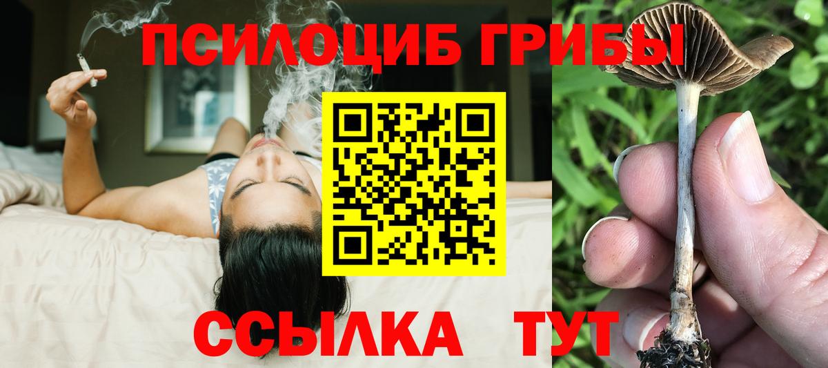 Псилоцибиновые грибы MAGIC MUSHROOMS Орск